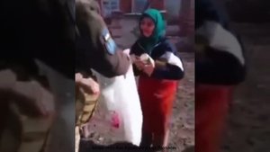 Авторы песни:Алла Корнишина и Вера Мартынова