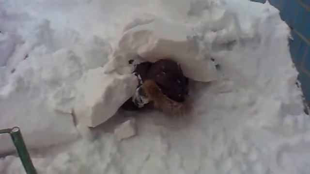 Прикол .Чел нашел 2 хату себе. И её сломали. смотреть онлайн