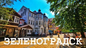 ЗЕЛЕНОГРАДСК - кошачья столица России и город, в котором хочется остаться жить
