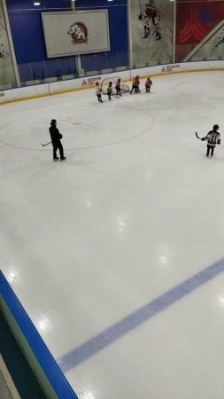 хоккей