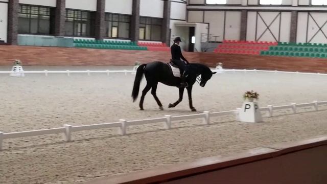 Катрина Вюст и Полина Афанасьева смотреть онлайн