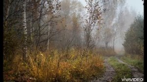Прости меня, осень!