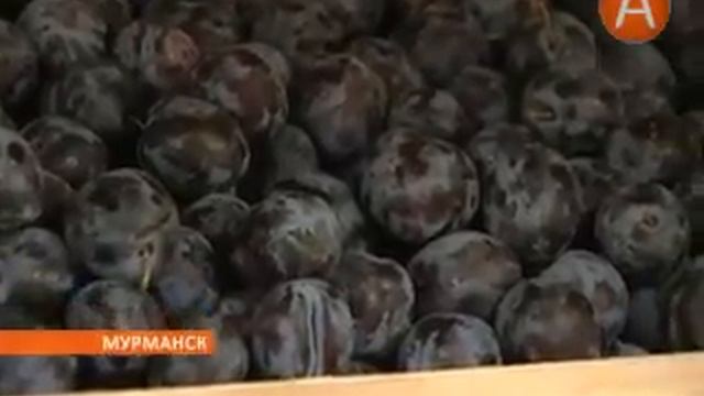 07 дешевая рыба 12.07.2013 смотреть онлайн