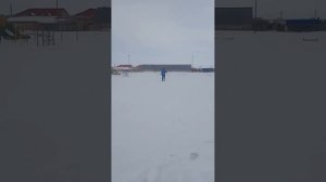 Классические лыжные хода: попеременный двухшажный ход.