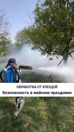 Обработка от клещей