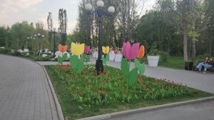 Белгород весь в тюльпанах