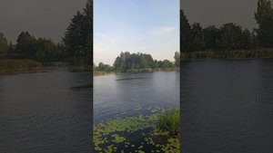 "Верила,верила,верю" Француженка Марион