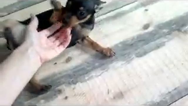 Без имени 0001