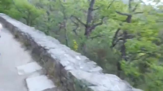 Царская тропа. 14 мая 2021 смотреть онлайн