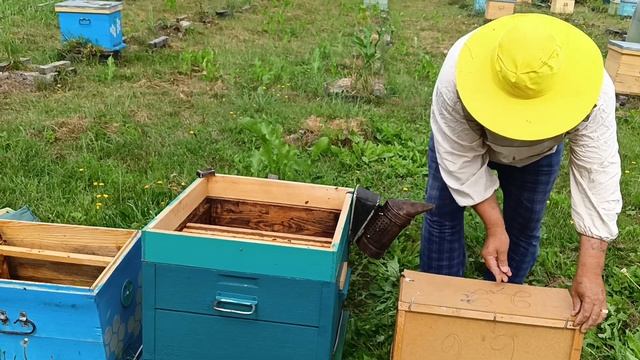 Поздний отводок.Сделайте его так... смотреть онлайн