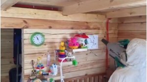 уничтожение короедов, термитов, древоточцев