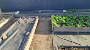 Наш сад 2025, пришла весна, начинаем новый сезон.