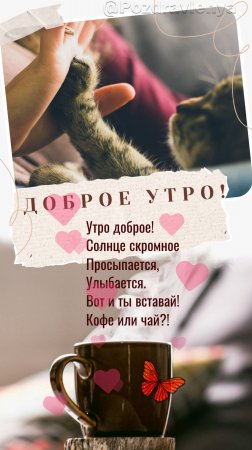 ДОБРОЕ УТРО!