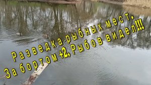 Рыбалка в черте города весной. Разведка новых рыболовных мест. Река Тускарь, Парк Боева Дача