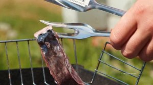 Рыба для шашлыка! Кларий «Рыба дивная» — Новая легенда пикника!