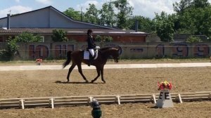 Консул первый старт. Езда для молодых лошадей 1 уровень