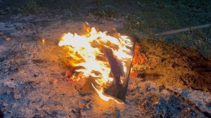 Звук костра