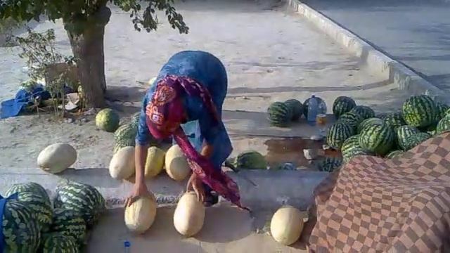 Turkmen arbuz смотреть онлайн