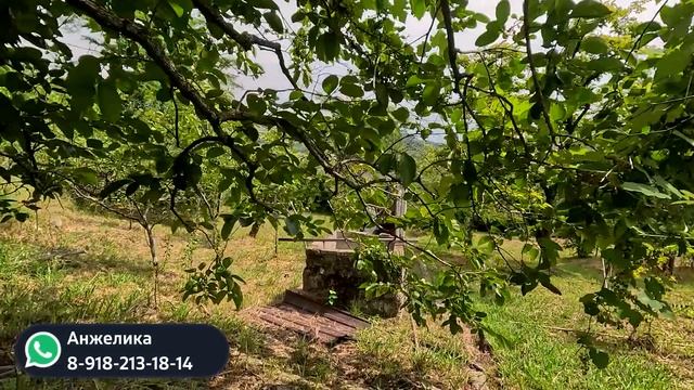 ПРОДАЕТСЯ ДОМ в СОЧИ #сочи #всеосочи смотреть онлайн