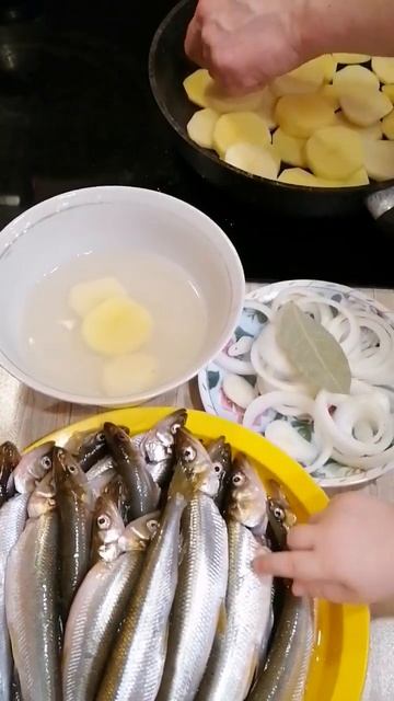 Карельская кухня. Мачок. Еда северных поморов. На севере жить. Карелия. #карелия #отдыхвкарелии