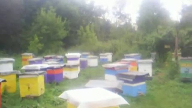 Главный взяток облет смотреть онлайн