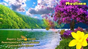 Эрталаб уйгонганда Ушбу дуони тингланг Оллох Су́раганингизни беради Иншааллох