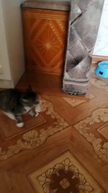 Сонечка
