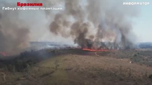 Новости Сегодня 25.04.2025 - Россия, Москва, Экстренный вызов новый выпуск, Катаклизмы, События Дня
