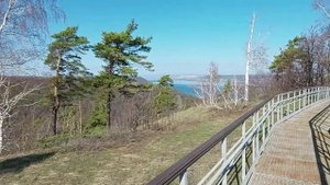 Гора Стрельная  Жигулёвский заповедник