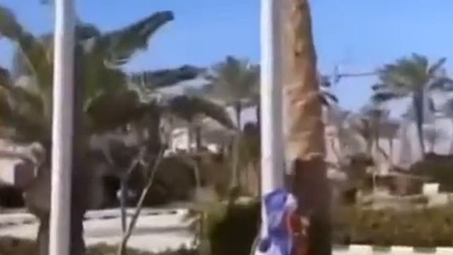 Весь мир обозлился на Россию. На видео - Египет. смотреть онлайн