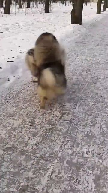 21 февраля 2016 г. смотреть онлайн