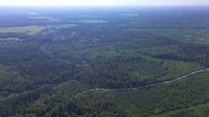 Оболсуново