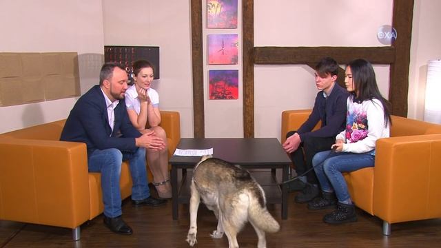 Охапка. Выпуск от 25.01.2019 смотреть онлайн