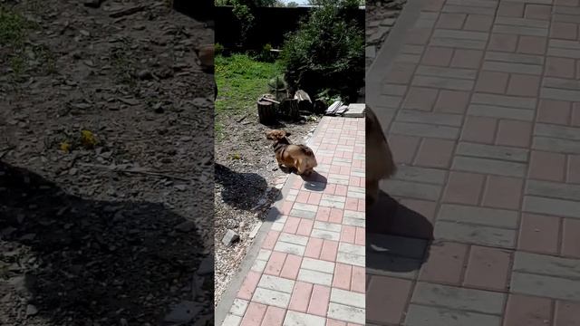 10 октября 2022 г.1