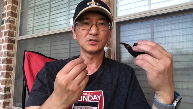 Peterson Early Morning Pipe First Impression смотреть онлайн