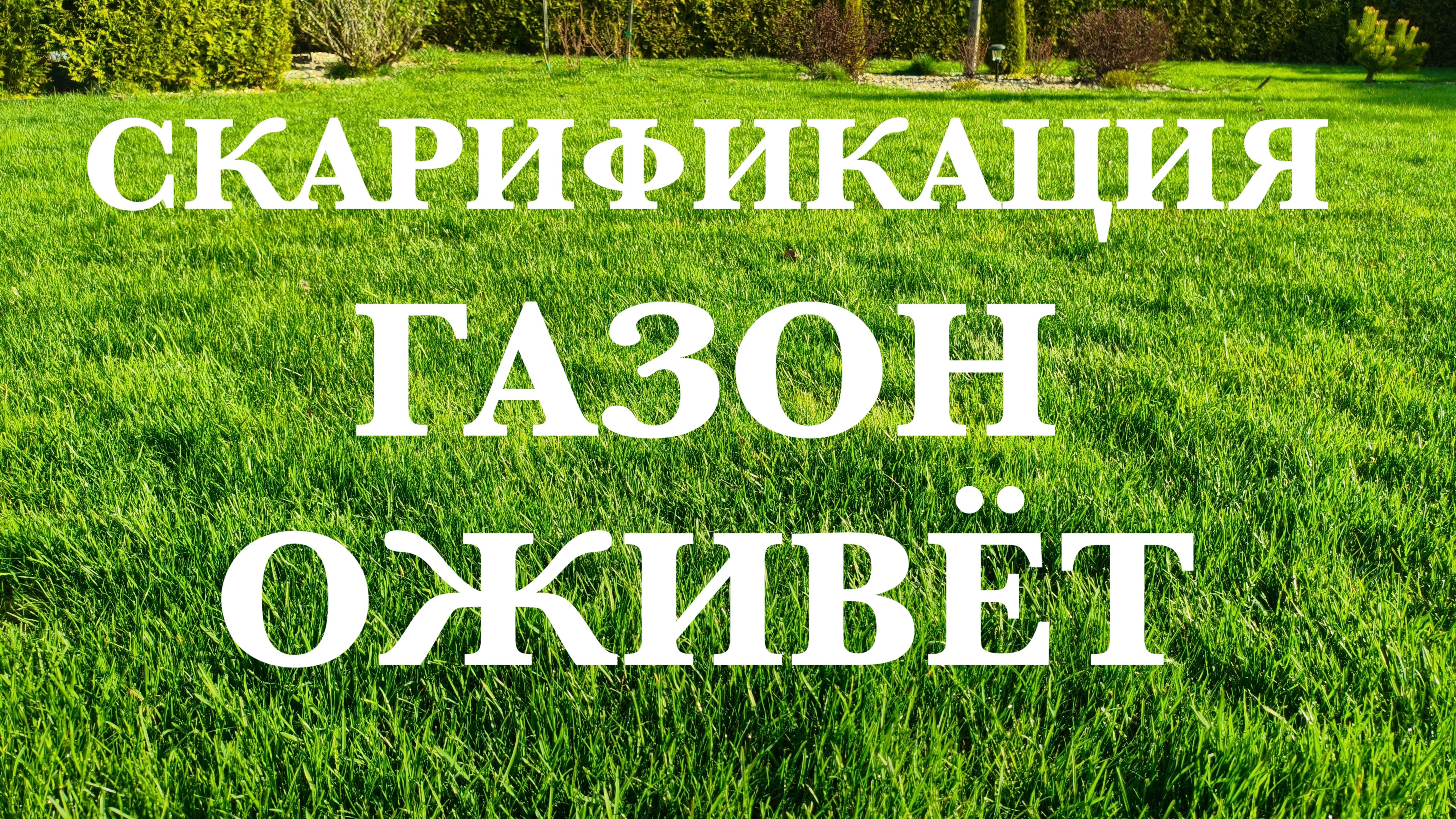 Скарификация газона, подробная инструкция.