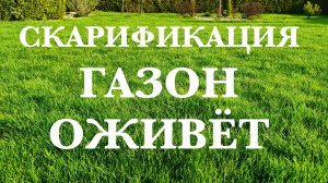 Скарификация газона, подробная инструкция.