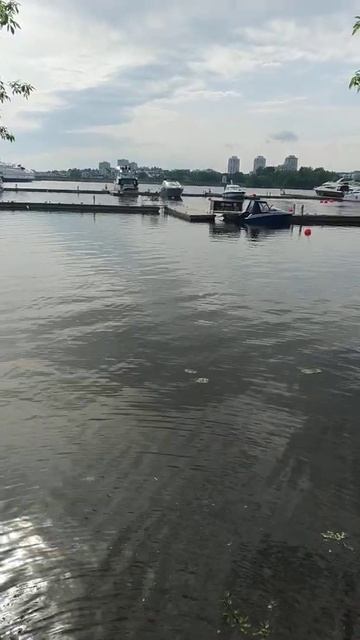 Москва !Строгино! Природа смотреть онлайн