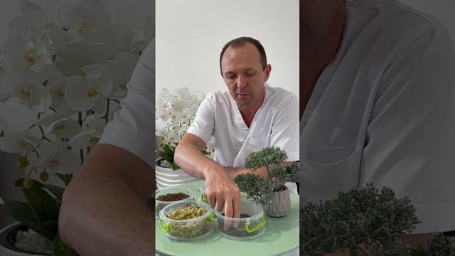 Травы которые успокоят нервную систему - Советы Врача Фитотерапевта