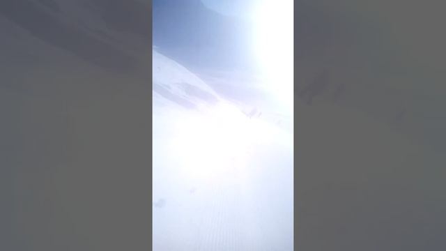 Альпика. 2018 смотреть онлайн