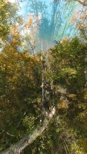 Бештау кольцевая дорога