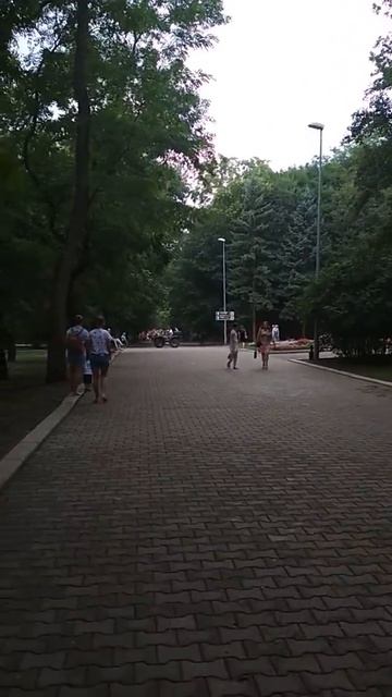 Ессентуки авто на пешеходной дороге смотреть онлайн