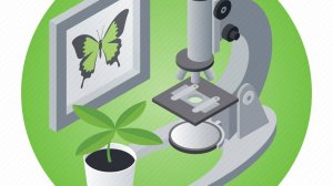 26.04.2025 Биология Решение задач по биологии разных типов