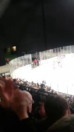 We're the Nottingham Panthers