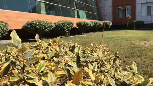 Chinar Hotel & Spa Naftalan# Город Нафталан# Azərbaycan# Naftalan Şəhəri# смотреть онлайн