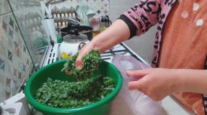 Привела себя в порядок и за дела. Начались первые заготовки.