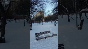 прогулки в Бирюлево Загорье,13.01.24