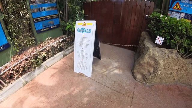 Лоро Парк на Тенерифе – виртуальная экскурсия по Канарским островам в 4K смотреть онлайн