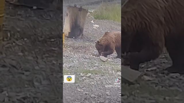 Магадан Арбат смотреть онлайн