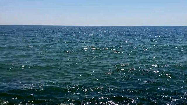 Черное море мое